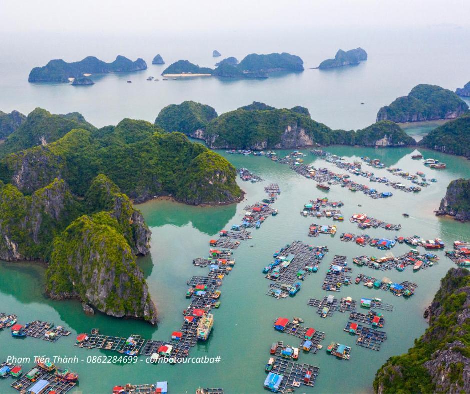 Cat Ba Bay Vision Hotel Dong Khe Sau Exteriér fotografie